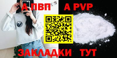 ешки Кингисепп