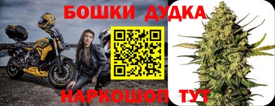 ешки Кингисепп