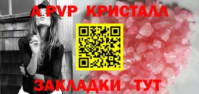 ешки Кингисепп