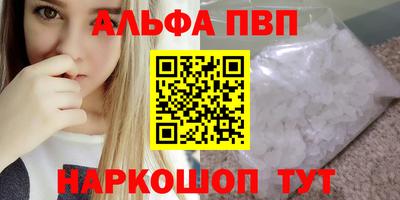 ешки Кингисепп