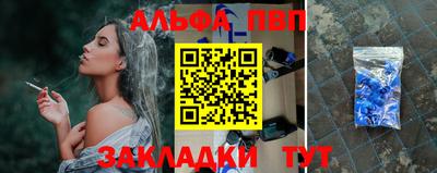 ешки Кингисепп
