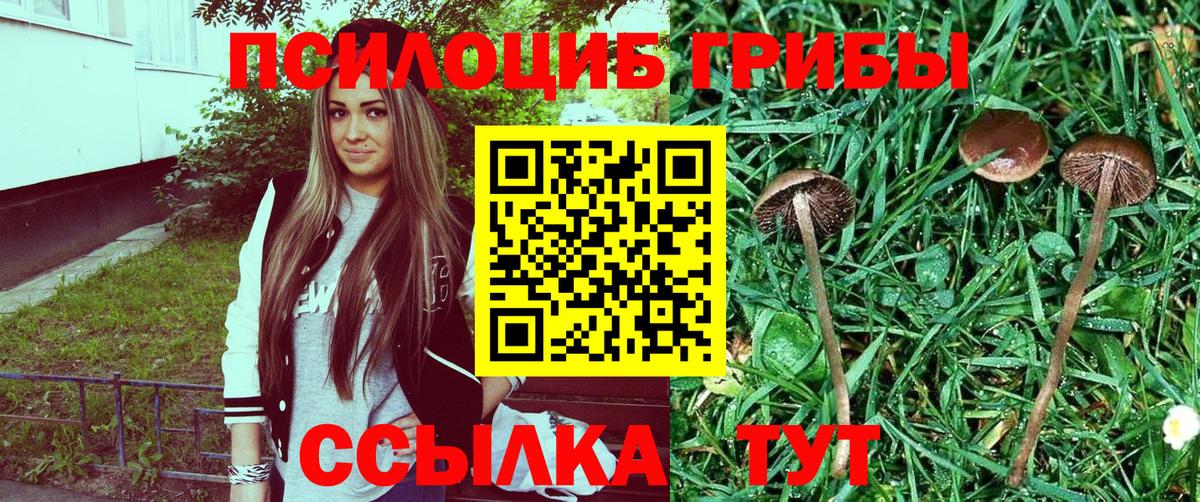 Псилоцибиновые грибы Magic Shrooms  Вход с VPN  Кольчугино 